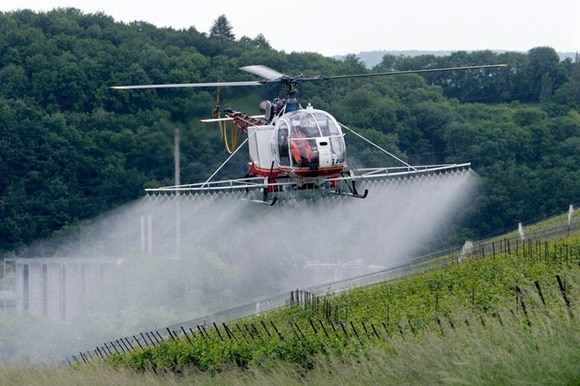 Un elicottero spruzza pesticidi su un vigneto a Dardagny, vicino a Ginevra.