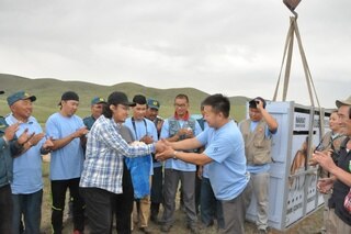 Il progetto di reintroduzione dei cavalli Przewalski è stato apprezzato molto dalla Mongolia.