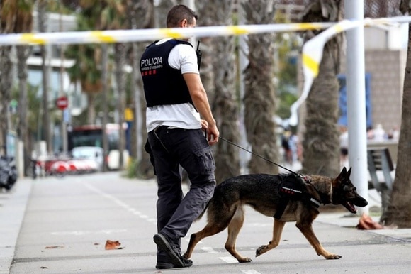 Un poliziotto e un cane poliziotto nell area di uno degli ospedali dove sono ricoverati i feriti dell attentato di Barcellona.