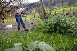 Bauer befestigt eine Schnur am Zaun