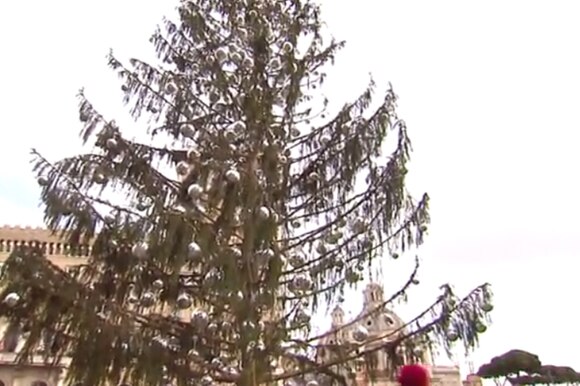 L albero di Natale a Roma in Piazza Venezia fa discutere i romani... ma è davvero brutto...