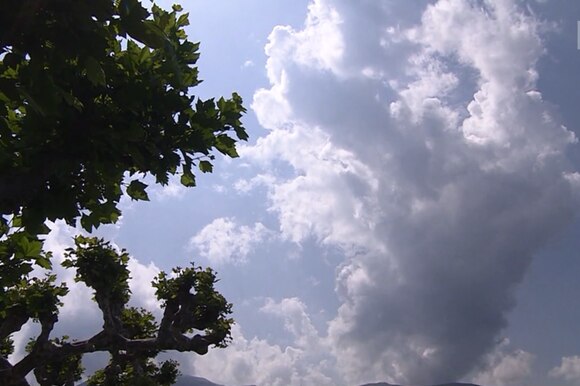 Immagine del cielo con nuvole scure sulla destra, sole (nascosto da un albero ma forte luce visibile) sulla sinistra