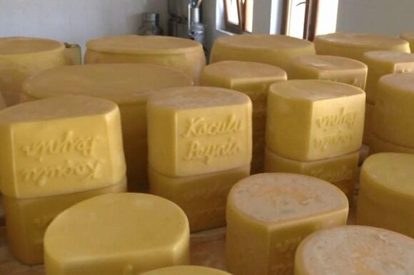 Forme del formaggio turco prodotto secondo una ricetta svizzera vecchia di 150 anni