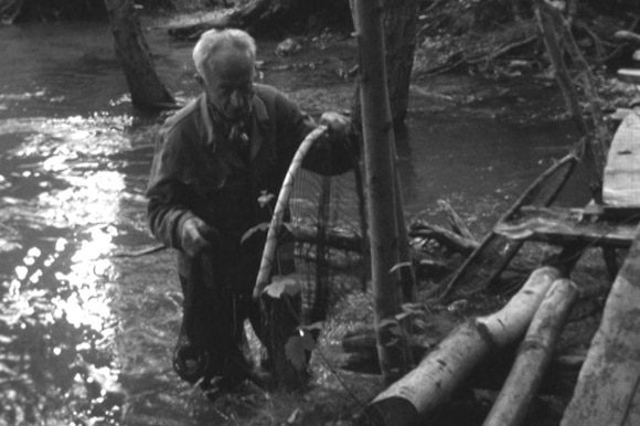 Immagine di un anziano nel fiume, con l acqua fino alle ginocchia, che installa delle reti sulla pescaia/peschiera