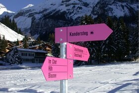 snow and signpost