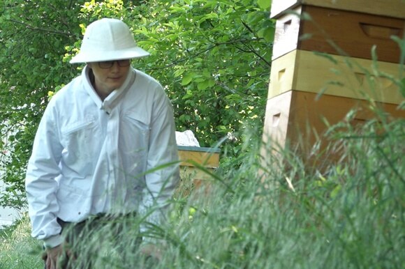 Isabelle Bandi visits her hives