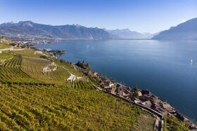 Le vigne del Lavaux e vista sul lago Lemano.