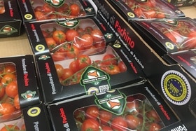 Confezioni di pomodorini di Pachino
