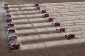 Multiple combine harvesters in grain field