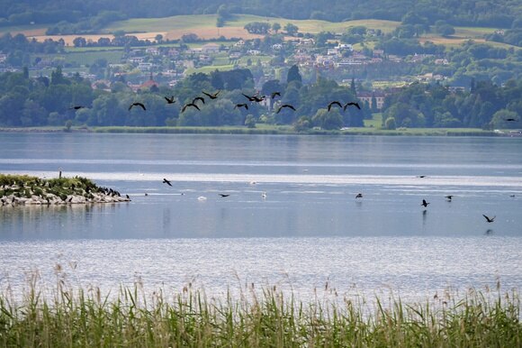Uno scorcio del lago di Neuchâtel.