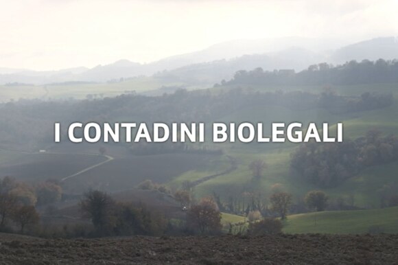 foto di bosco dallßalto e scritta i contadini biolegali