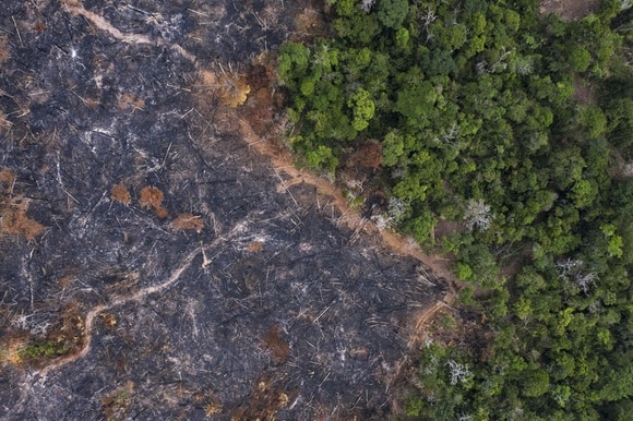 deforestazione in amazzonia